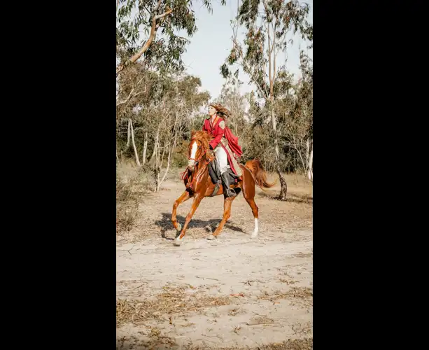 WhatsApp Image 2025-07-10 at 15.31.40 (1).jpeg