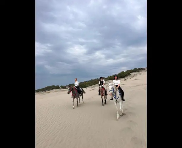 WhatsApp Image 2025-07-10 at 15.25.42.jpeg