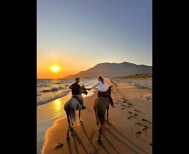 WhatsApp Image 2025-07-10 at 15.25.43.jpeg