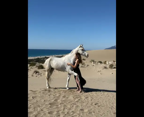 WhatsApp Image 2025-07-10 at 15.25.37.jpeg